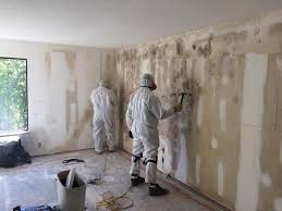 Biohazard Mold Removal in Plainview, TN